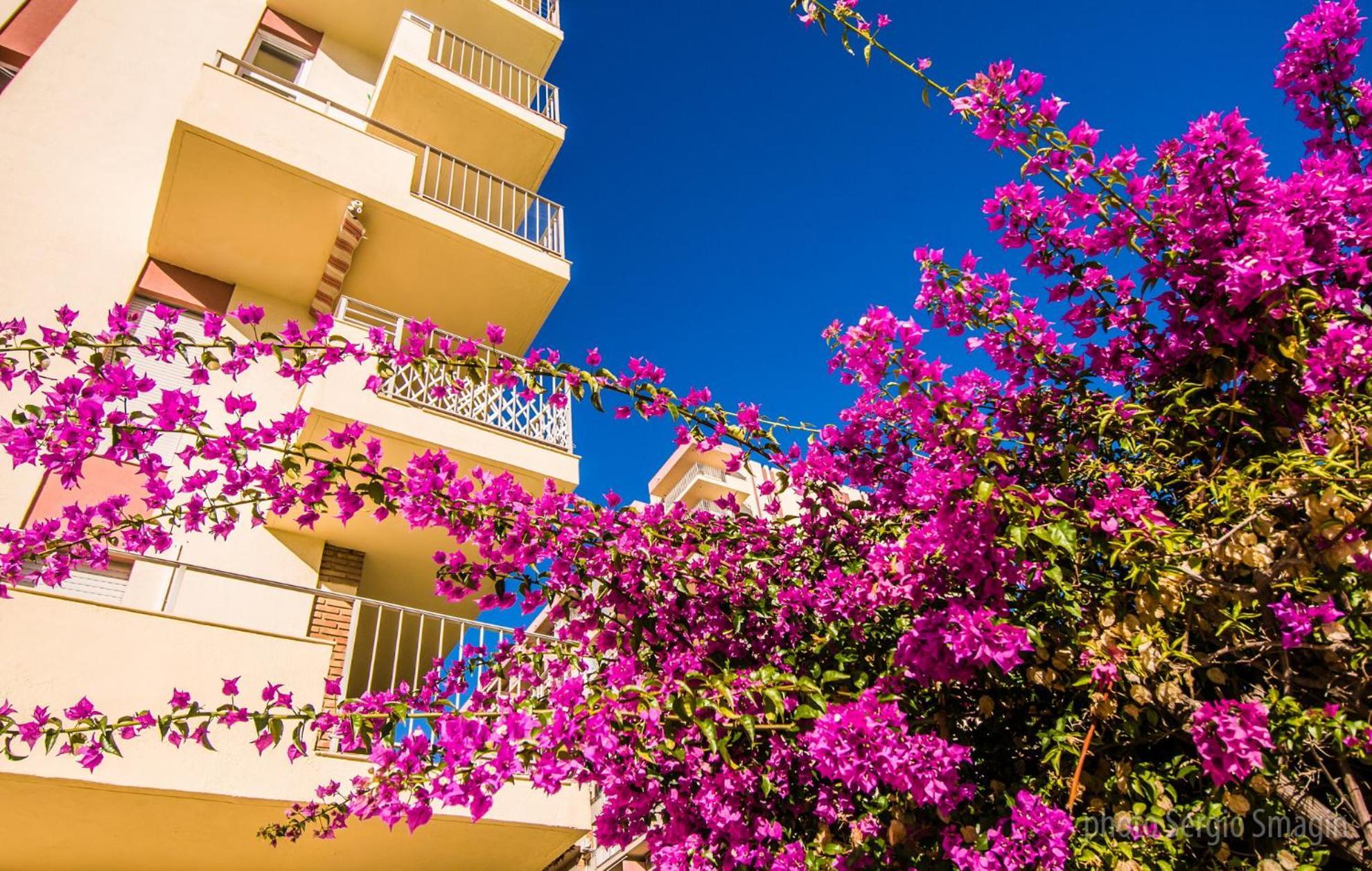 426 Estudio En Minerva Apartamentos - Vista Al Jardin - Piscina Y Playa 베날마데나코스타 외부 사진