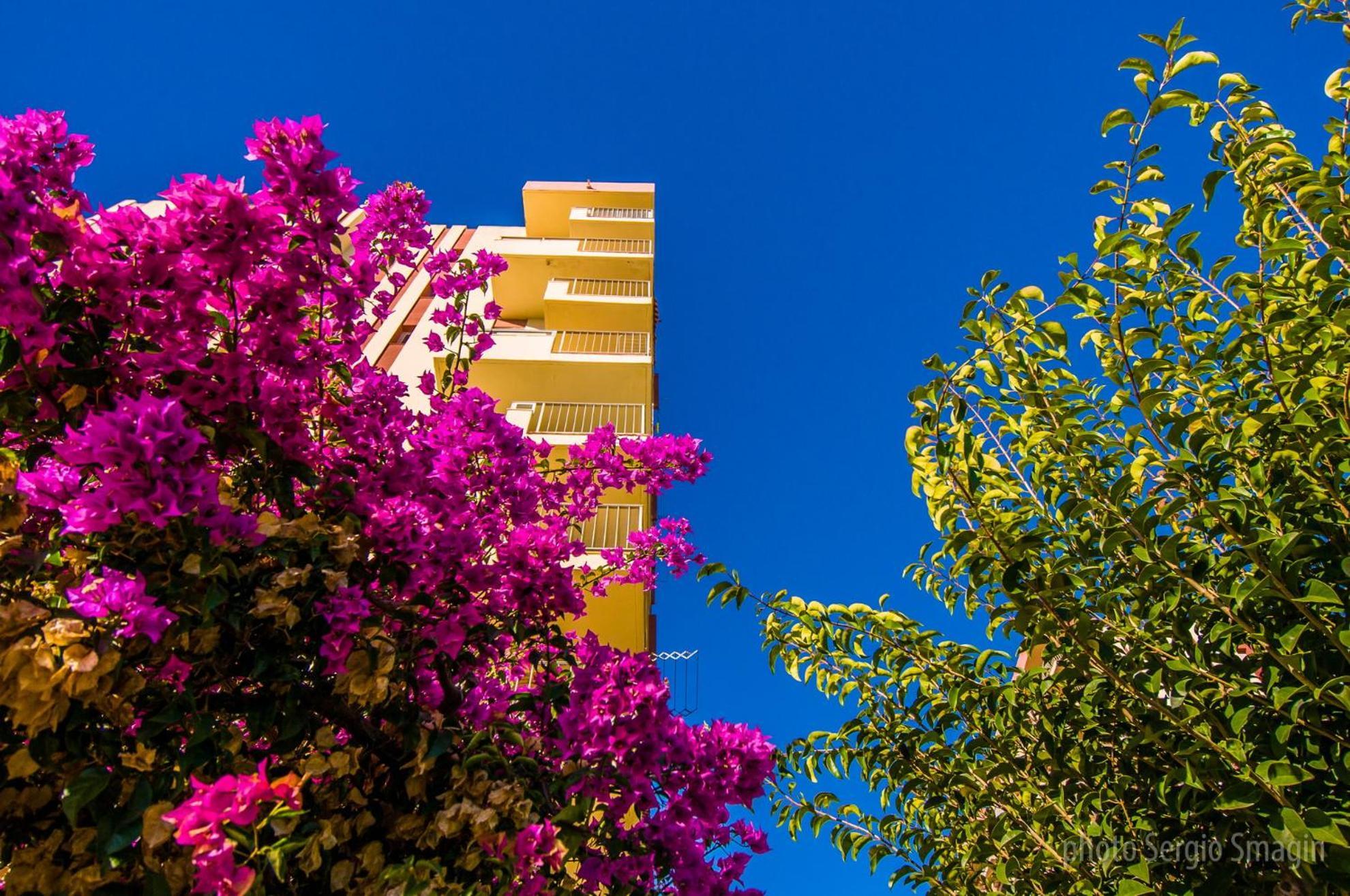 426 Estudio En Minerva Apartamentos - Vista Al Jardin - Piscina Y Playa 베날마데나코스타 외부 사진