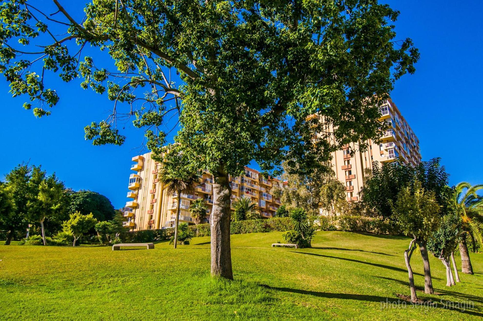 426 Estudio En Minerva Apartamentos - Vista Al Jardin - Piscina Y Playa 베날마데나코스타 외부 사진